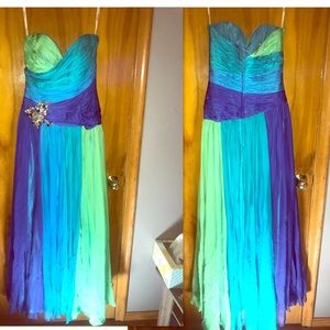 Stunning Tony Bowls ombré gown